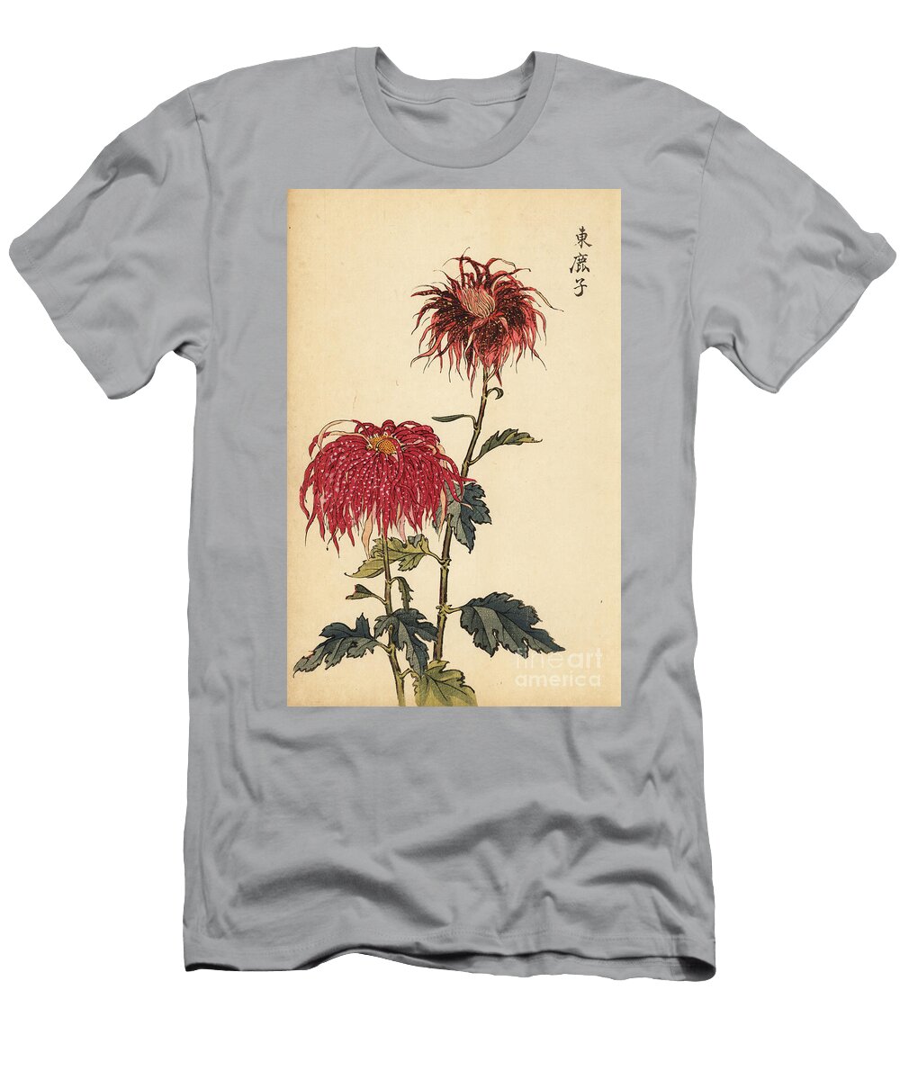 Hybrid Spotted Scarlet and Pink Quill Chrysanthemum Keika Hasegawa T-Shirt