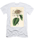 Hydrangea Variete Japan Hydrangea Hydrangea Japonica European School T-Shirt