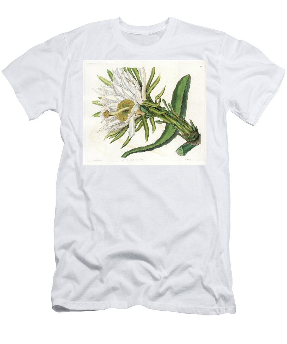 Hylocereus Flower Variety of Epiphytic Cactus Sydenham Teast Edwards T-Shirt