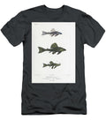 Hypostomus Freshwater Catfish B3 Historic Illustrations T-Shirt