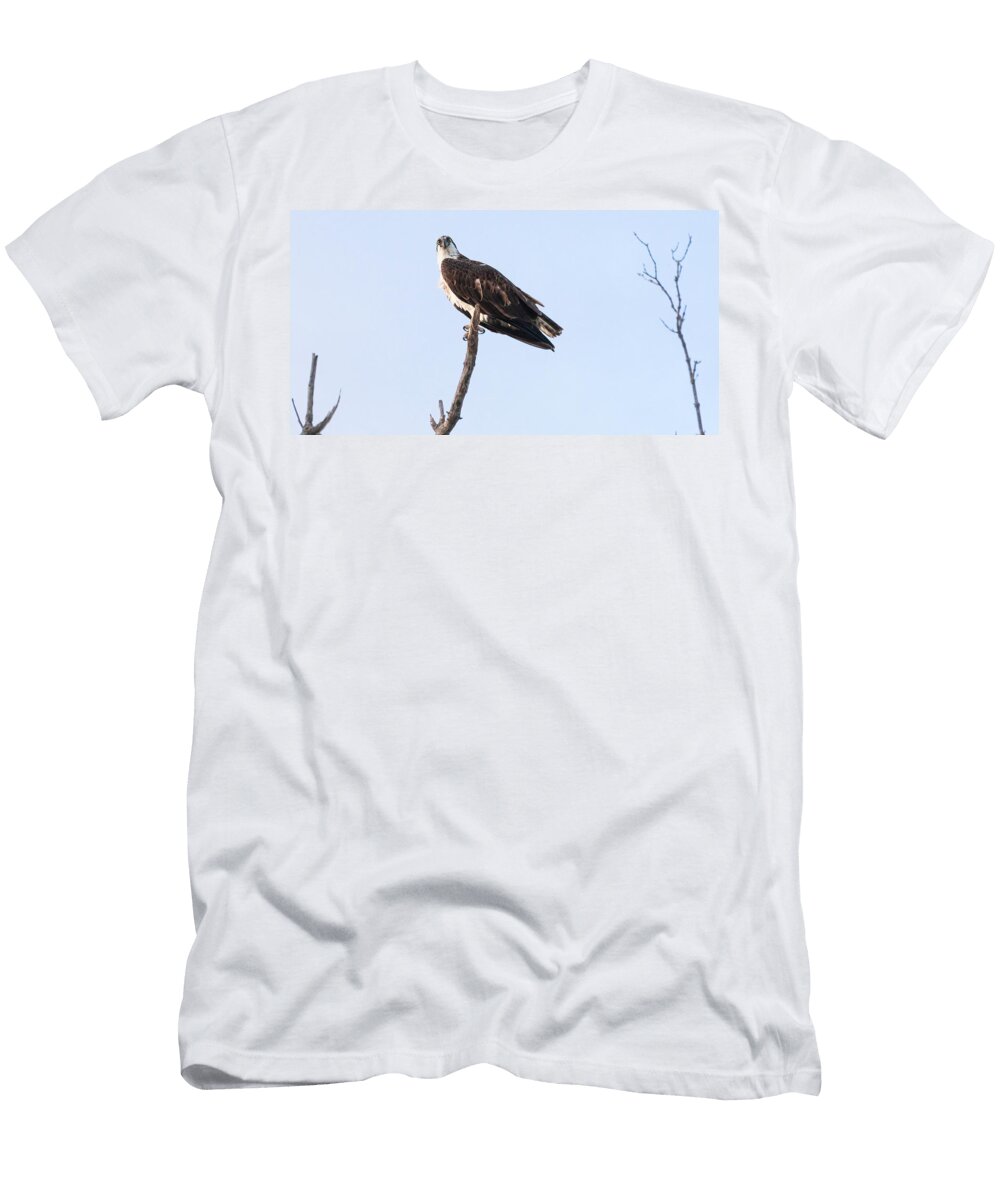I See You Looking At Me Cary Leppert T-Shirt