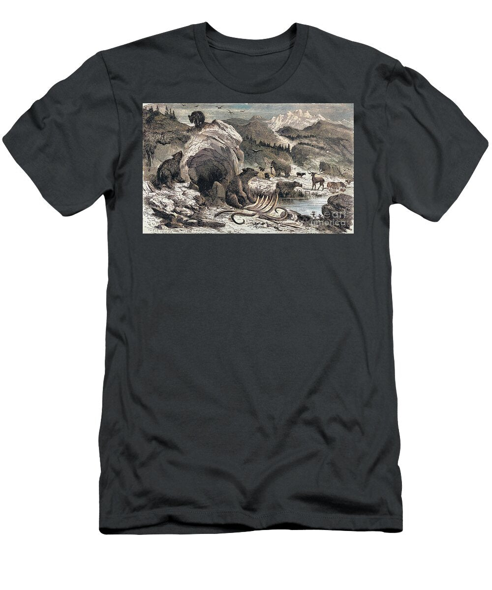 Ideal Landscape in the Quaternary Epoch Z2 Historic Illustrations T-Shirt