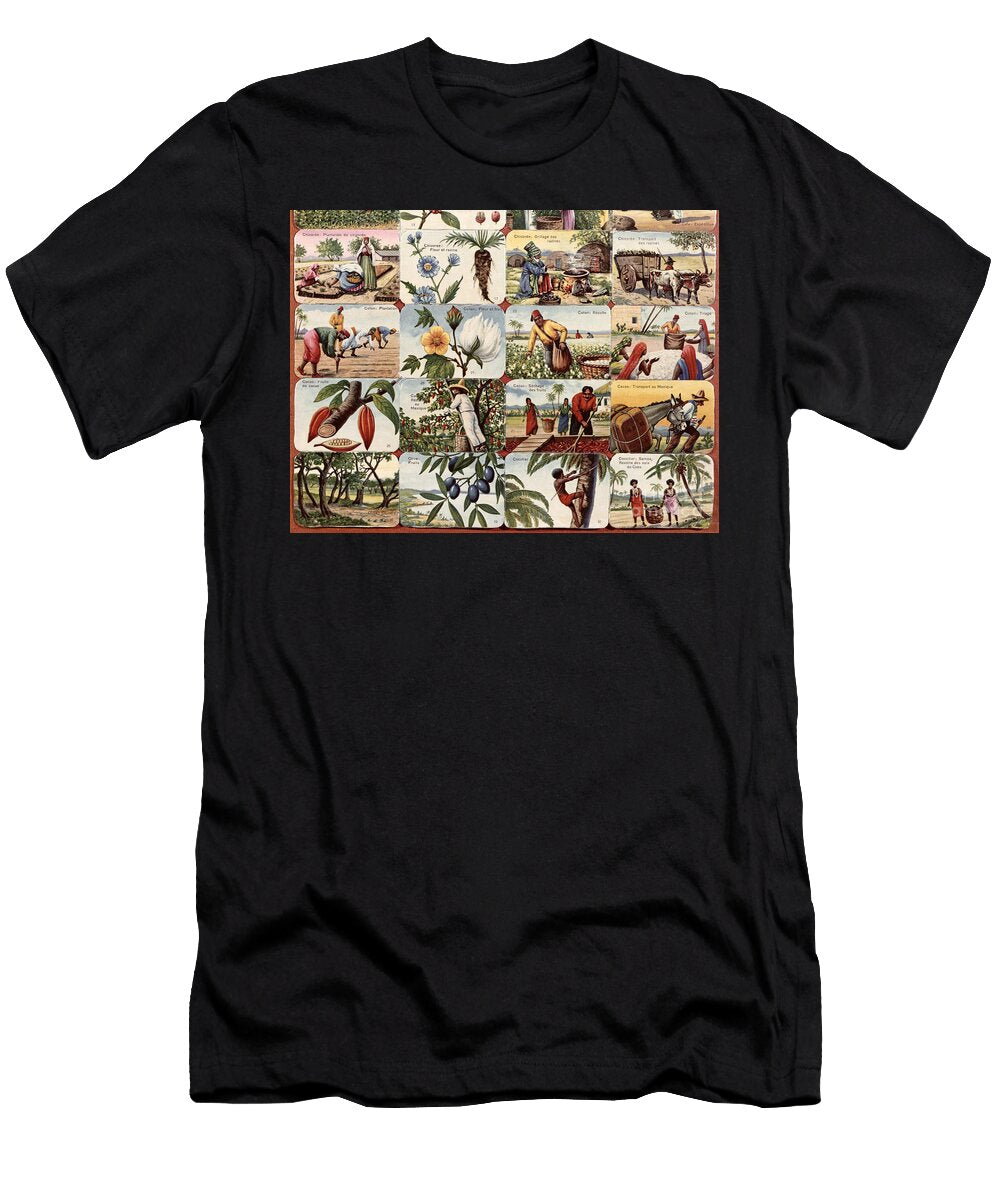 Illustration for a French School Textbook of Various Products of the Colonies Circa 1920 30 French School T-Shirt