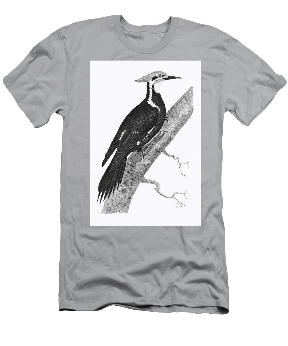 Illustration of a Waterman to a Coach Stand From Picturesque Representations of the Dress and Manner Les Classics T-Shirt