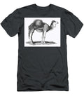 Illustration of Arabian Camel From Zoological Lectures Delivered At the Royal Institution in the Yea Les Classics T-Shirt