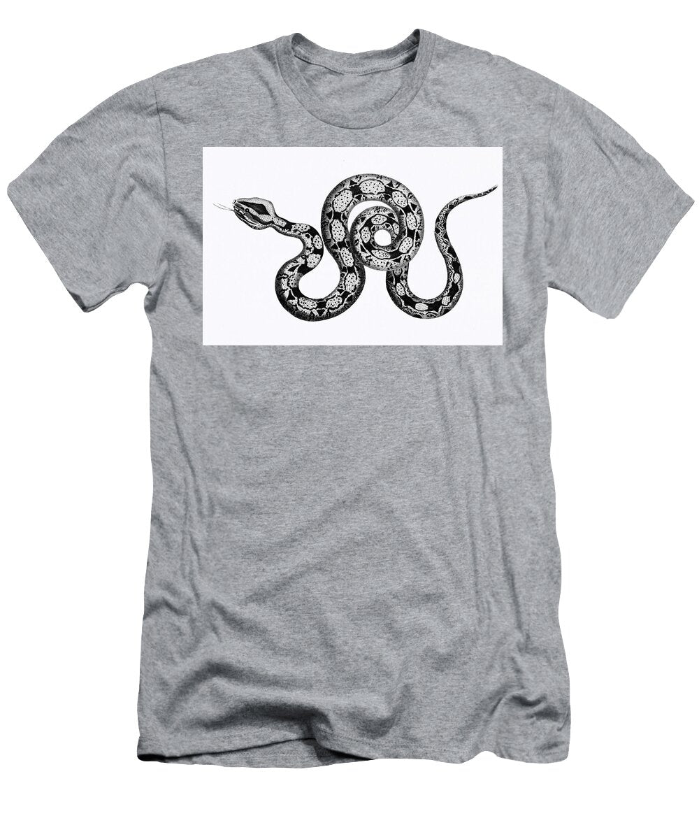 Illustration of Constrictor Boa From Zoological Lectures Delivered At the Royal Institution in the Y Les Classics T-Shirt
