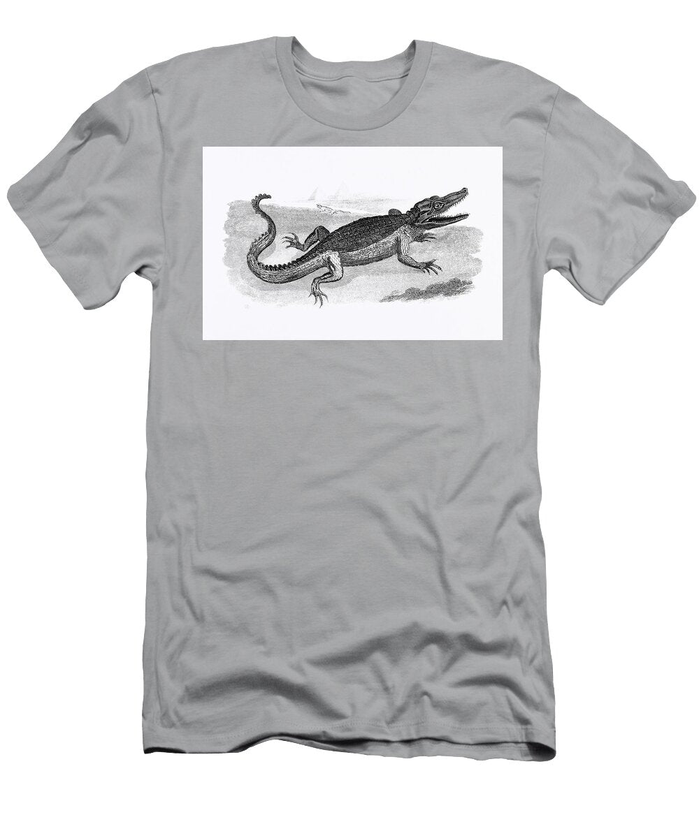 Illustration of Crocodile From Zoological Lectures Delivered At the Royal Institution in the Years 1 Les Classics T-Shirt