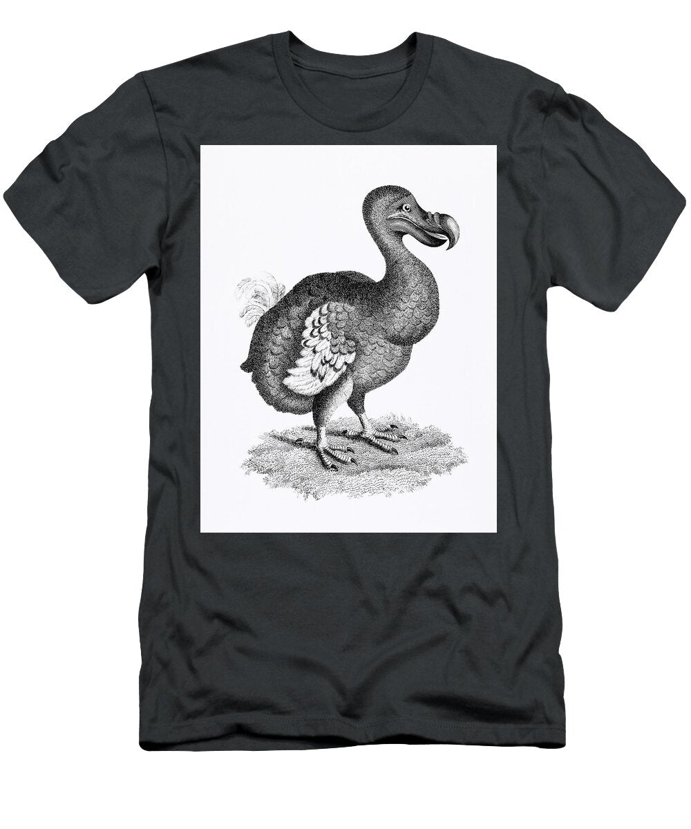 Illustration of Dodo From Zoological Lectures Delivered At the Royal Institution in the Years 1806 7 Les Classics T-Shirt
