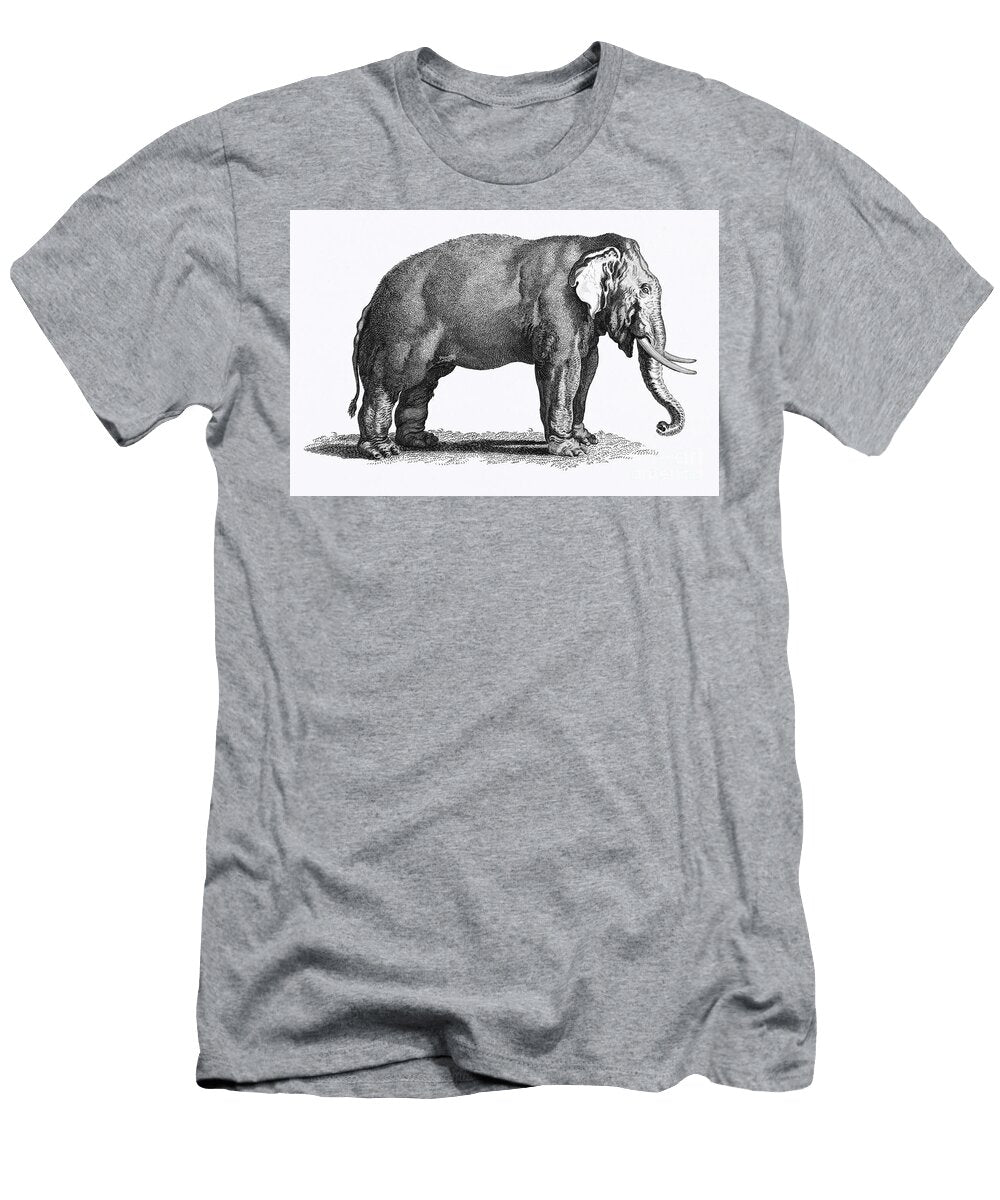 Illustration of Elephant From Zoological Lectures Delivered At the Royal Institution in the Years 18 George Shaw T-Shirt