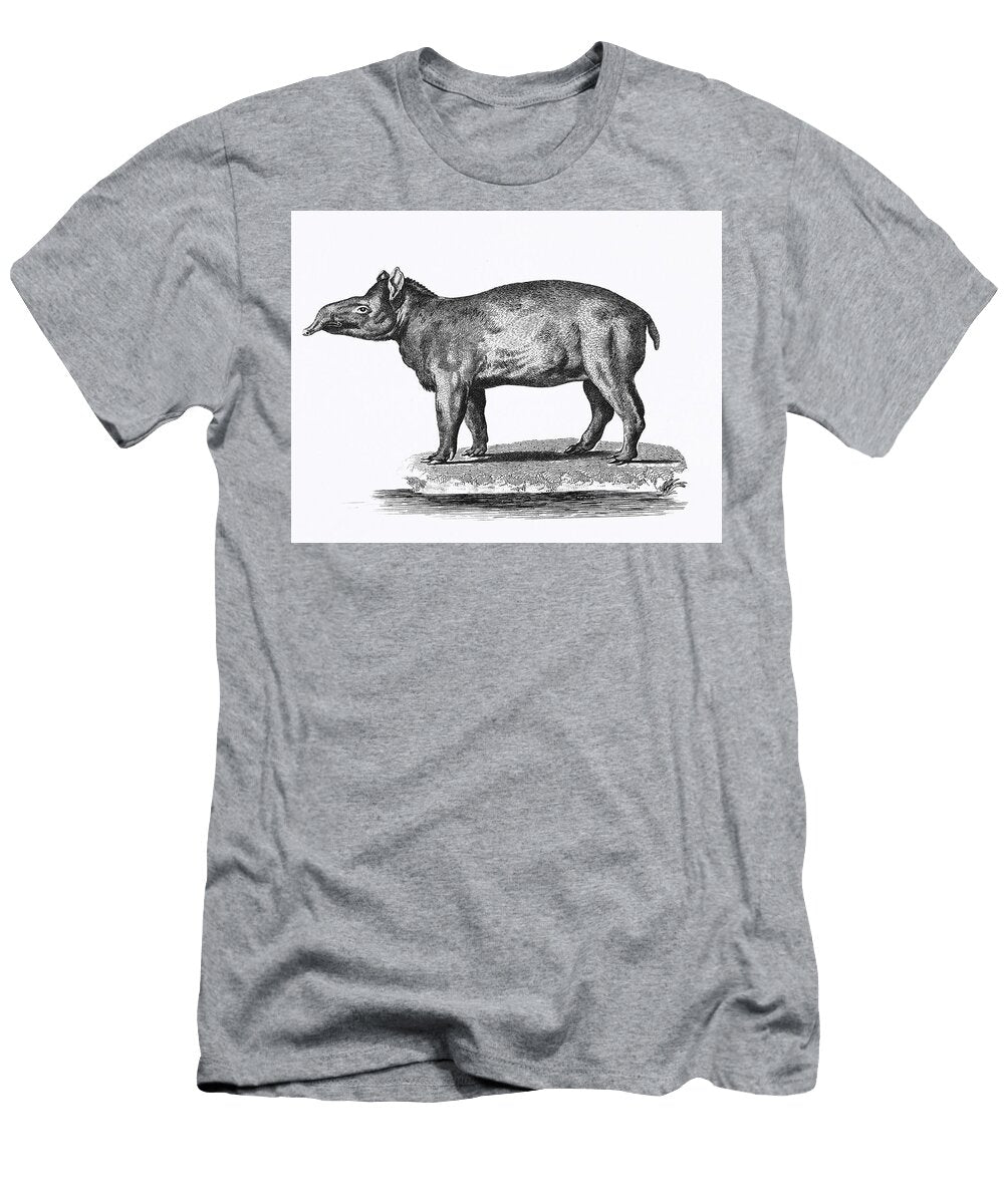 Illustration of Tapir From Zoological Lectures Delivered At the Royal Institution in the Years 1806 Les Classics T-Shirt