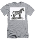 Illustration of Zebra From Zoological Lectures Delivered At the Royal Institution in the Years 1806 Les Classics T-Shirt