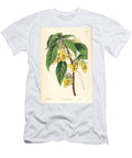 Impatience or Balsamine Rindliya or Scabby Balsam Impatiens Scabrida Three Horned Balsam Impatiens Tricornis European School T-Shirt