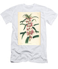Impatiente or Balsamine Small Pink Balsam Impatiens Rosea European School T-Shirt