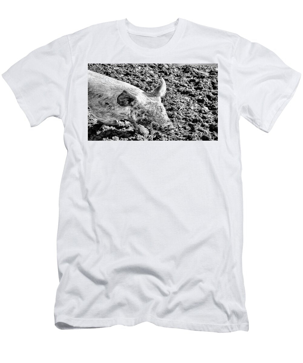 In a Pigs Eye Pat Cook T-Shirt