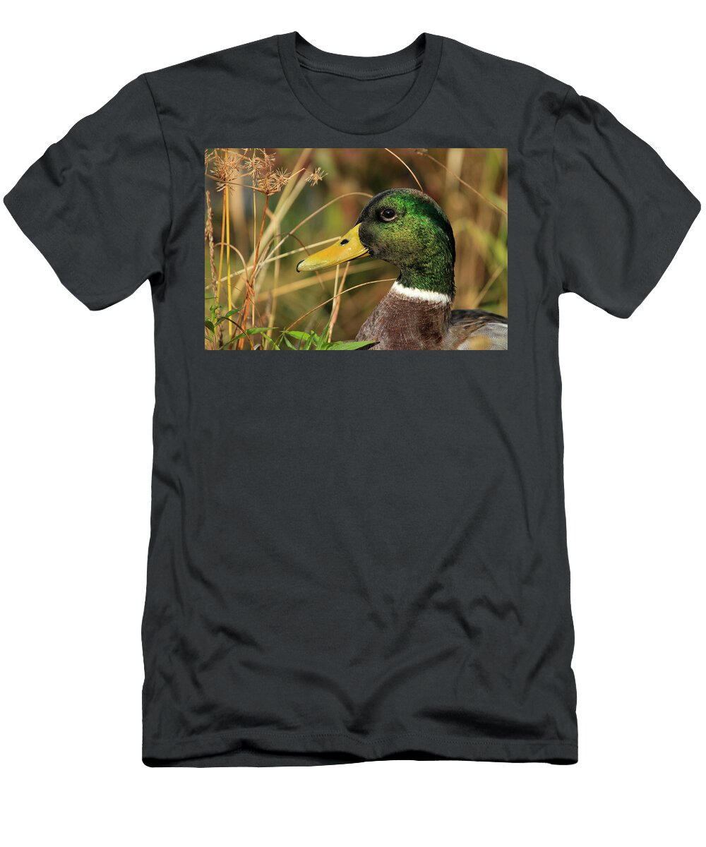 In the High Weeds Karol Livote T-Shirt
