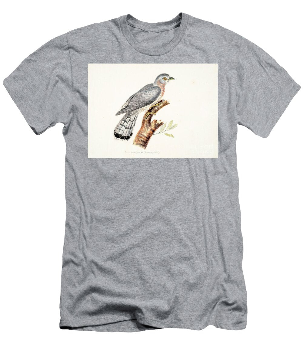 Indian Cuckoo Cuculus Micropterus Y1 Historic Illustrations T-Shirt