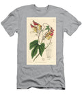 Indian Feather Spanish Flag Ipomoea Lobata Lobe Leaved Mina Mina Lobata European School T-Shirt
