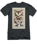 Insects Moths and Butterflies 1788 R1 Historic Illustrations T-Shirt