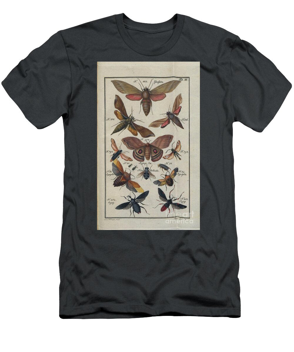 Insects Moths and Butterflies 1788 R1 Historic Illustrations T-Shirt