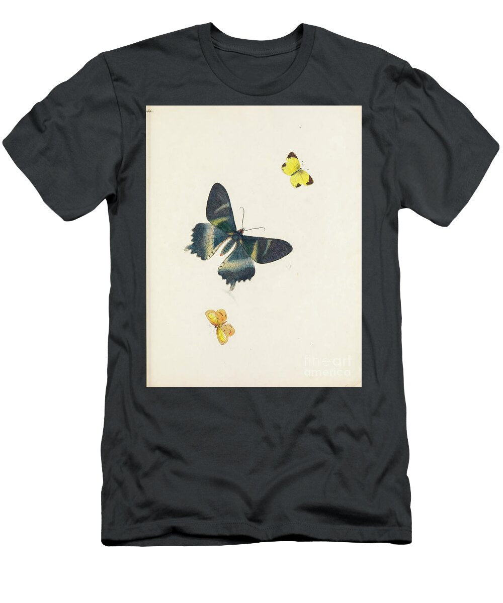 Insects Moths and Butterflies 1797 R6 Historic Illustrations T-Shirt