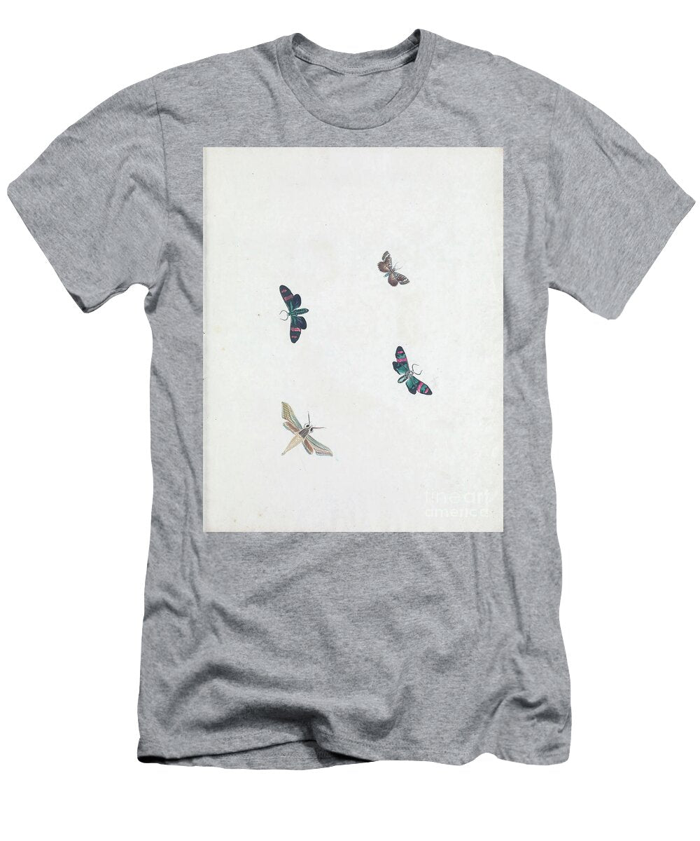 Insects Moths and Butterflies 1797 R8 Historic Illustrations T-Shirt
