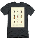 Insects of South America T1 Historic Illustrations T-Shirt