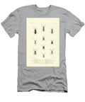 Insects of South America T2 Historic Illustrations T-Shirt