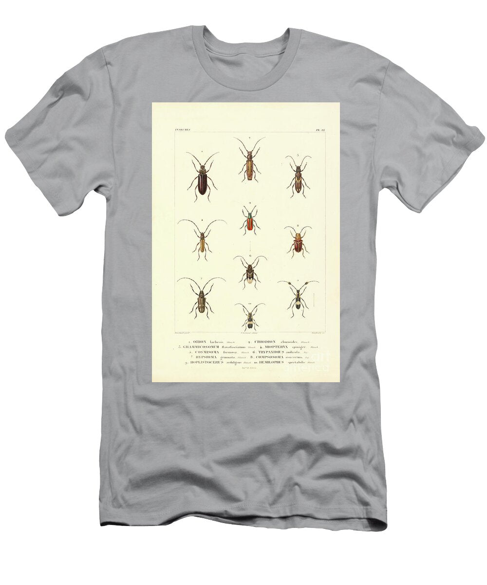 Insects of South America T2 Historic Illustrations T-Shirt
