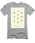 Insects of South America T3 Historic Illustrations T-Shirt