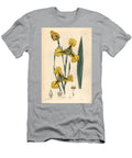 Iridacee Mr Herberts Cypella Cypella Herbertii European School T-Shirt