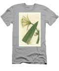 Ismene Narcissus or Daffodil of Peru Sydenham Teast Edwards T-Shirt