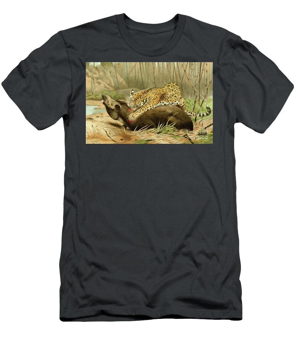 Jaguar Killing a Tapir L4 Historic Illustrations T-Shirt
