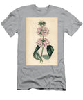 Jerusalem Sage of Cashmire Kashmir Sage or Cashmere Phlomis Phlomis Cashmeriana European School T-Shirt