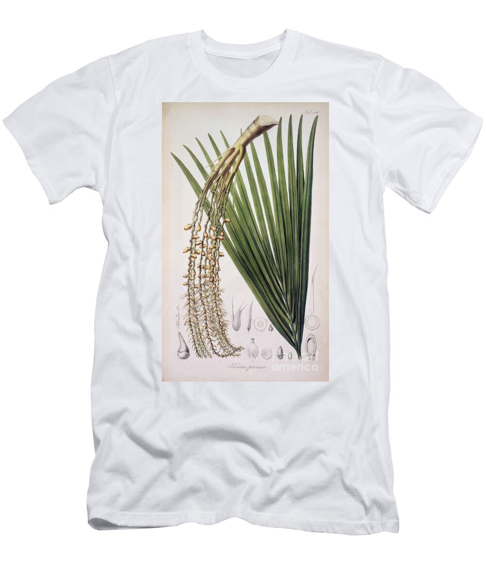 Kentia Procera Plank Palm European School T-Shirt