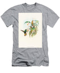 Lafresnaya Flavicaudata Bufftailed Velvetbreast Art John Gould English T-Shirt