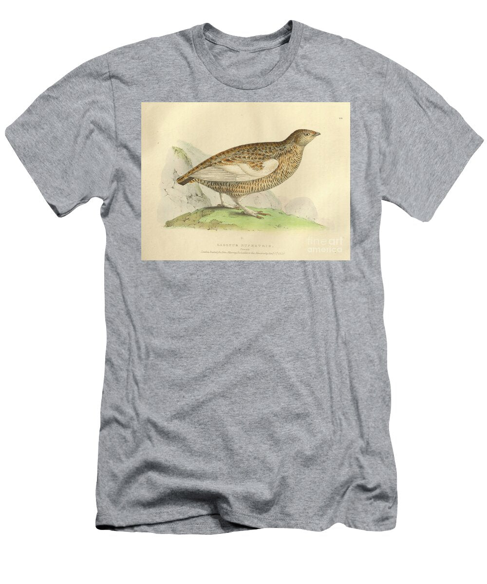 Lagopus Muta Rupestris Rock Ptarmigan O1 Historic Illustrations T-Shirt