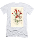 Large Leaved Ruellie Variete Large Leaved Ruellia Ruellia Macrophylla European School T-Shirt