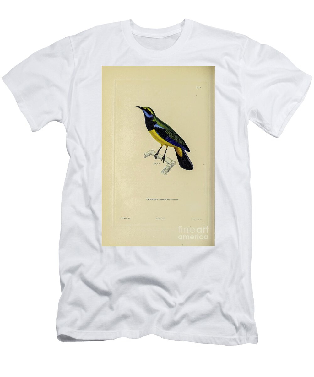 Leafbird India 1843 R1 Historic Illustrations T-Shirt