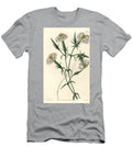 Lebanon Carnation Species in Danger Pink of Lebanon Dianthus Libanotis Sydenham Teast Edwards T-Shirt
