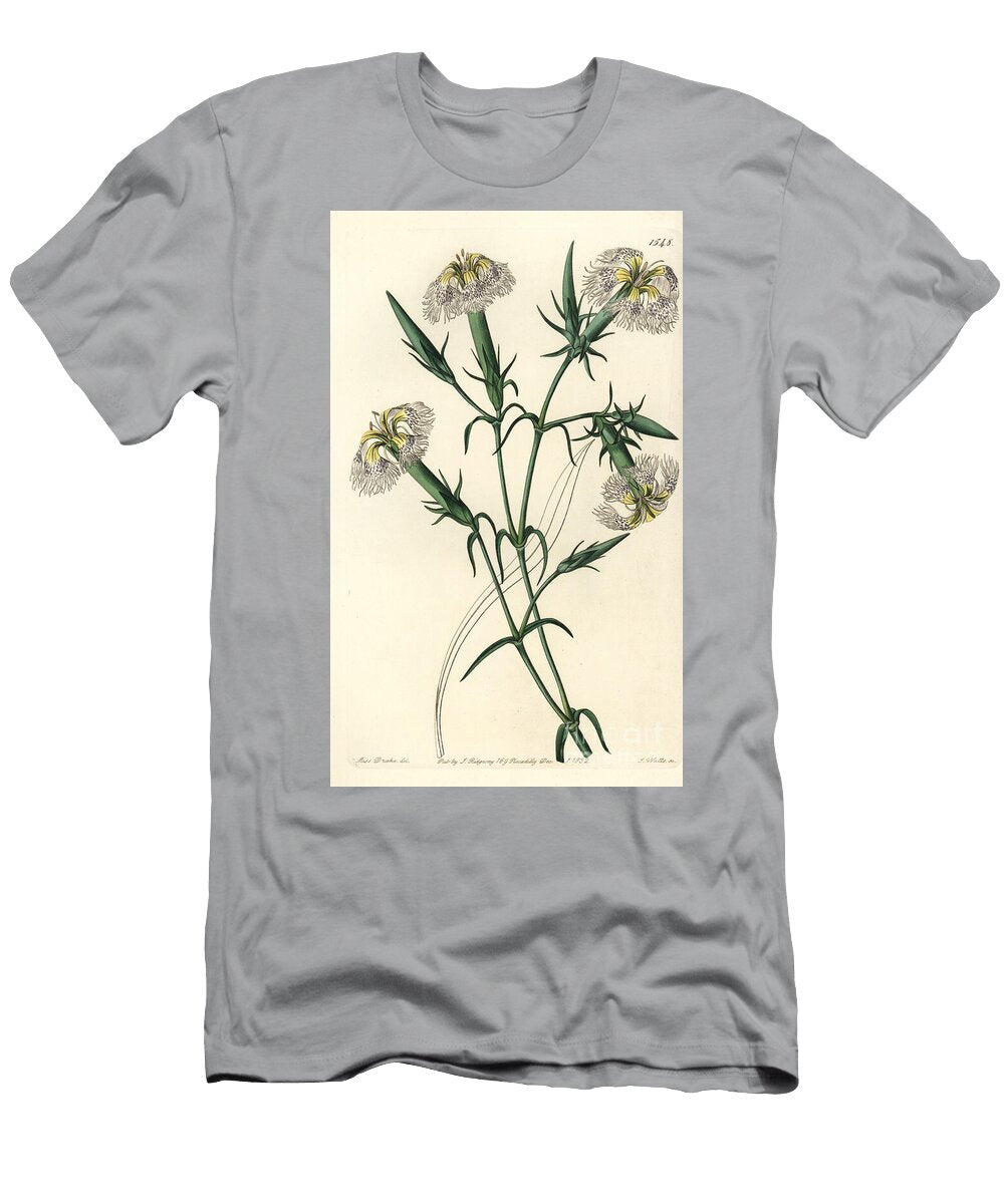 Lebanon Carnation Species in Danger Pink of Lebanon Dianthus Libanotis Sydenham Teast Edwards T-Shirt