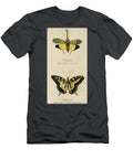 Lectures on Entomology Burton R3 Historic Illustrations T-Shirt