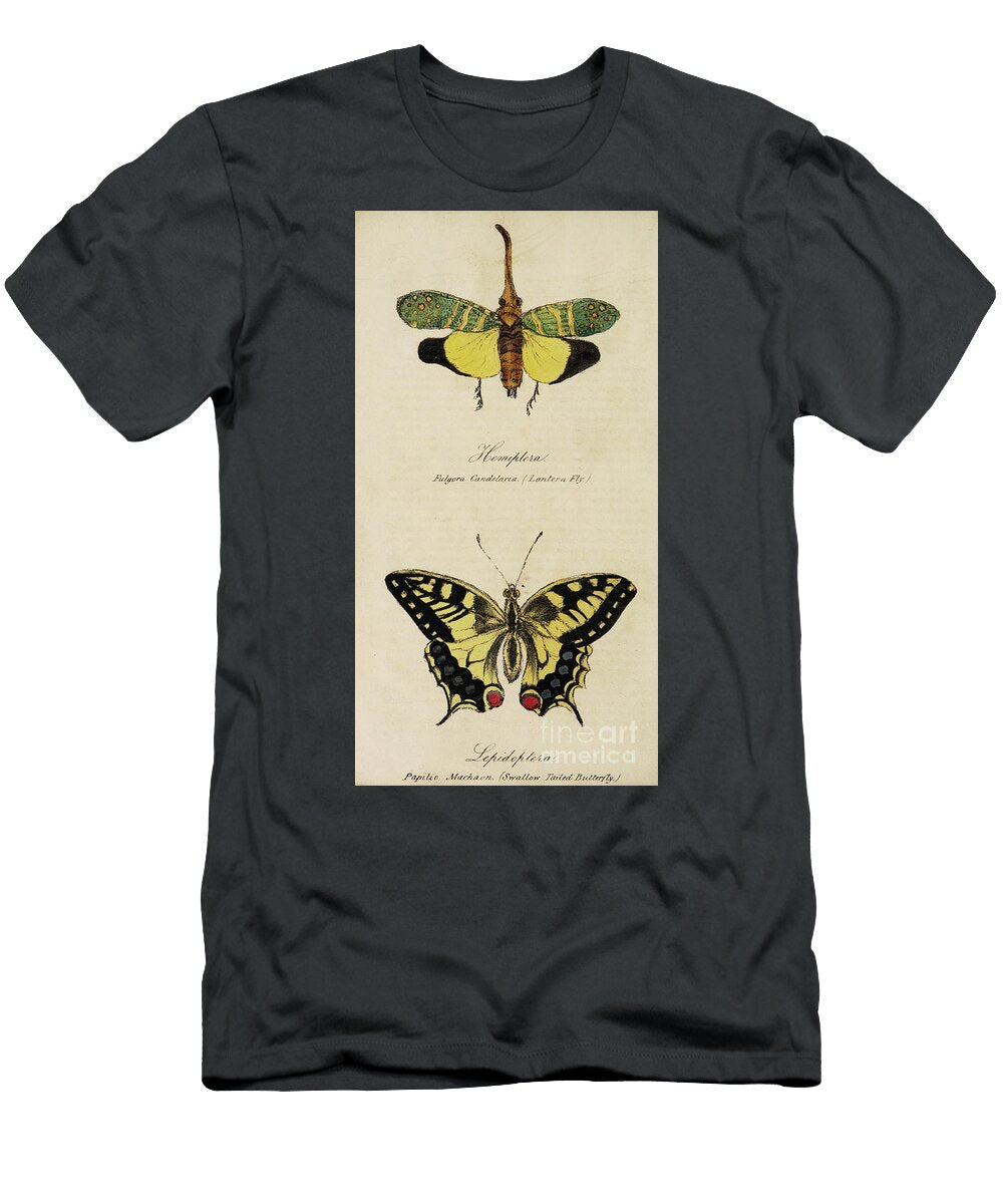 Lectures on Entomology Burton R3 Historic Illustrations T-Shirt