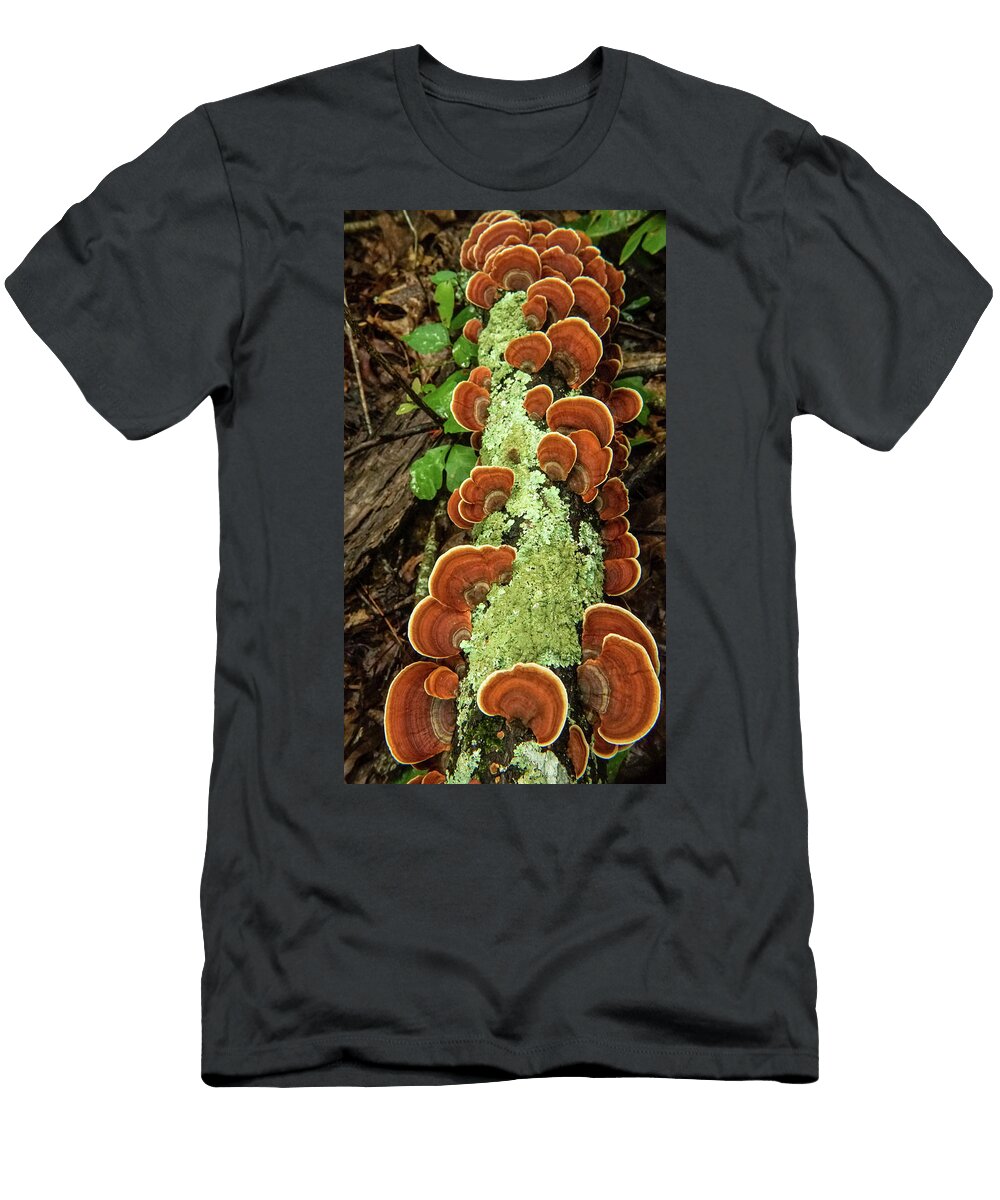 Lichens and Turkey Tails All in a Row Douglas Barnett T-Shirt