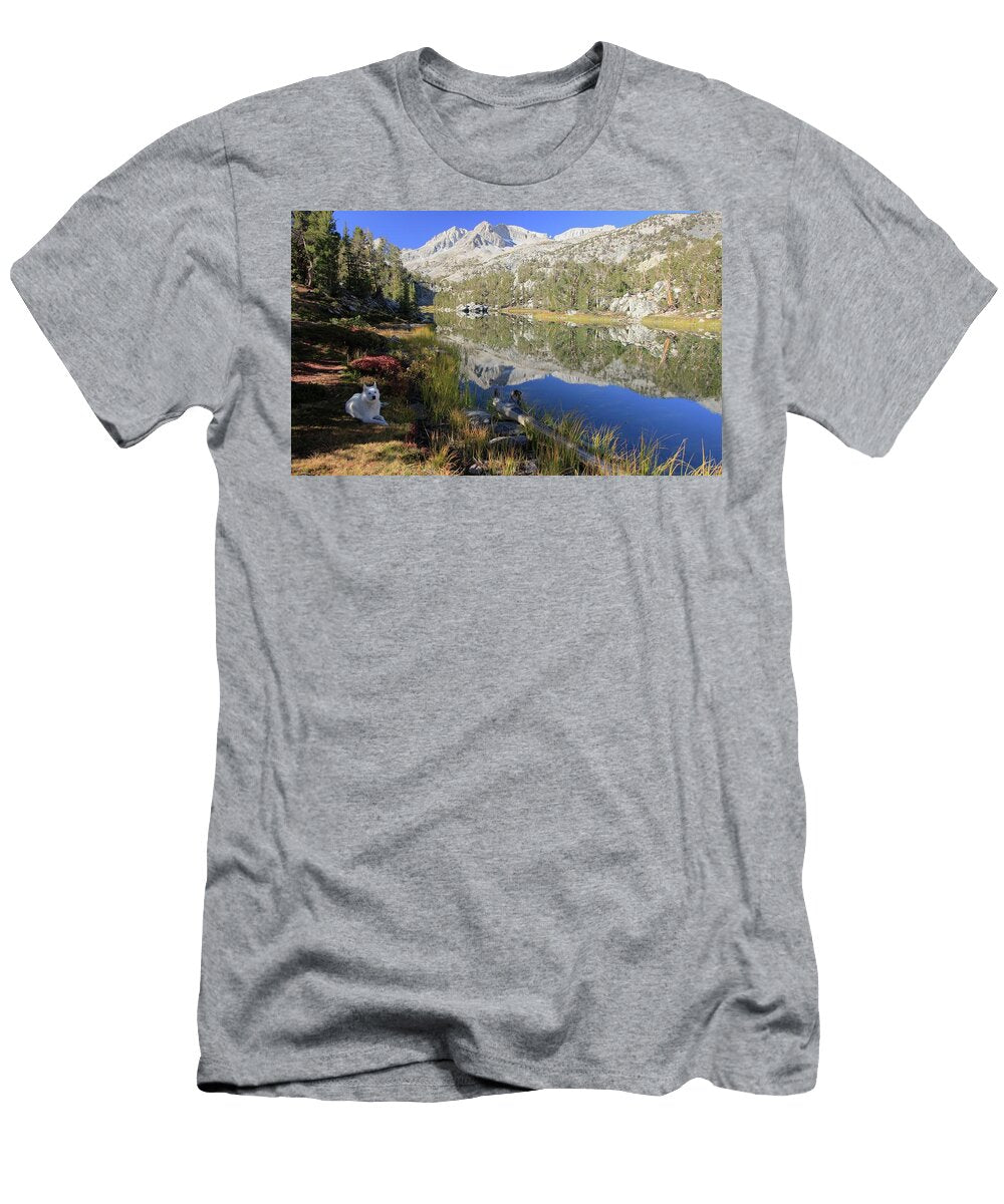 Life in the Shadows Sean Sarsfield T-Shirt