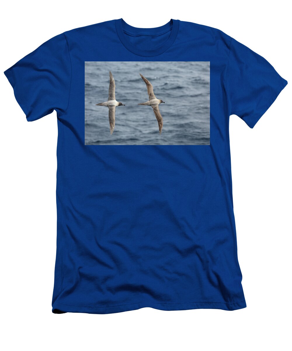 Light Mantled Albatross Duo Bruce J Robinson T-Shirt