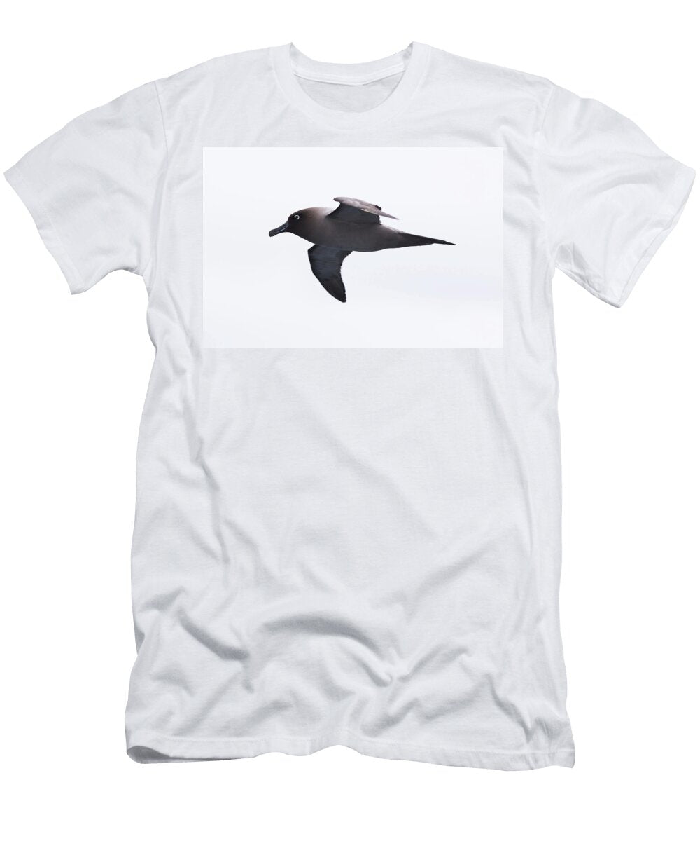 Light Mantled Sooty Albatross Drake Andrew Peacock T-Shirt