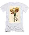 Lily of Japan Yellow Japan Lily Lilium Testaceum European School T-Shirt
