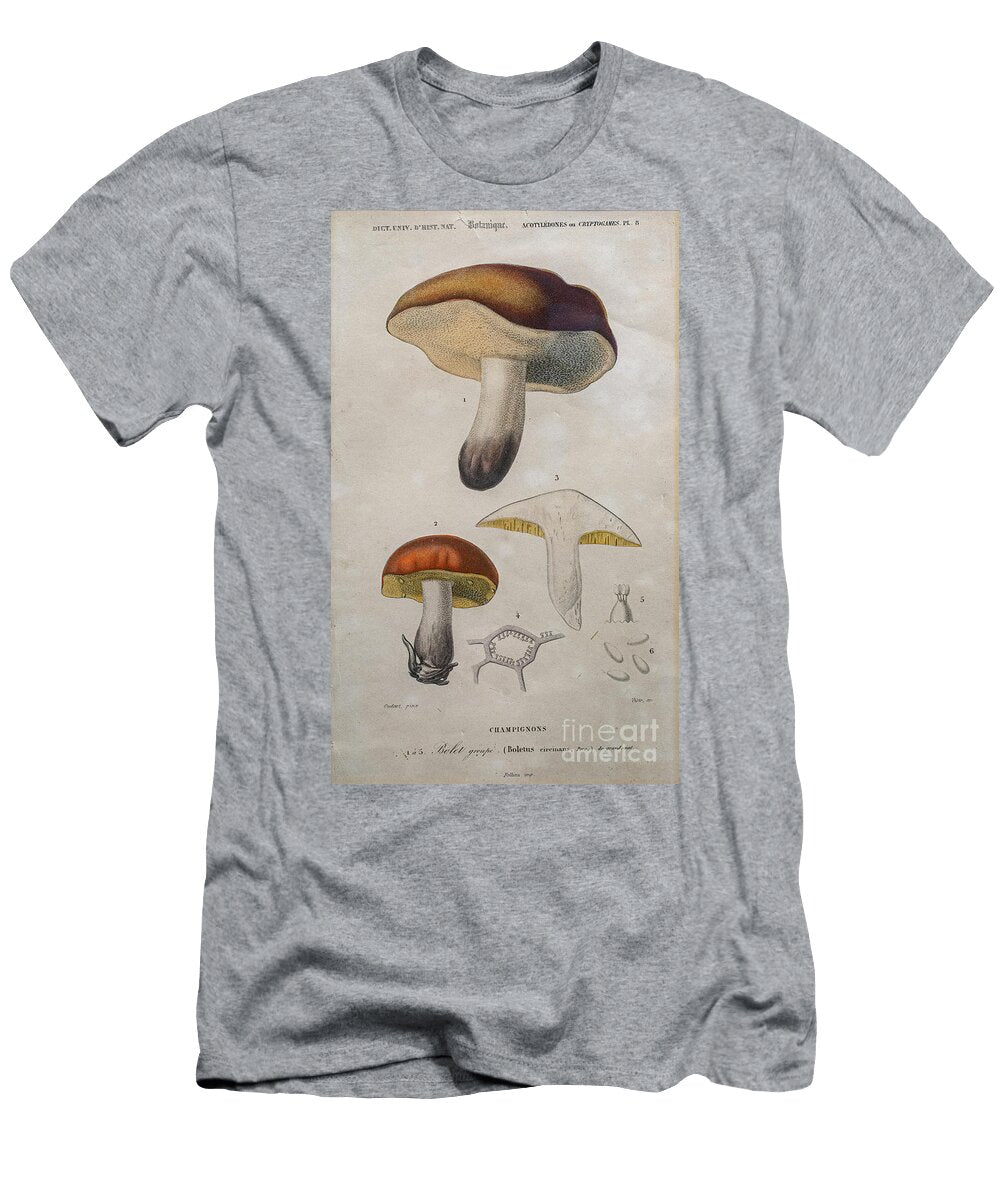 Lithograph of Boltus Mushroom M1 Humorous Quotes T-Shirt