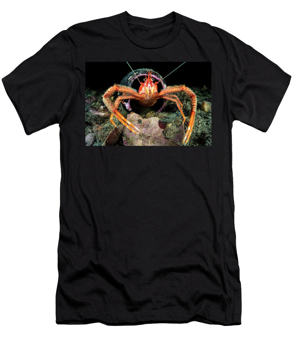 Long Clawed Squat Lobster Makes Its Home in a Discarded Alex Mustard Natureplcom T-Shirt