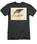 Long Legged Sandpiper O1 Historic Illustrations T-Shirt